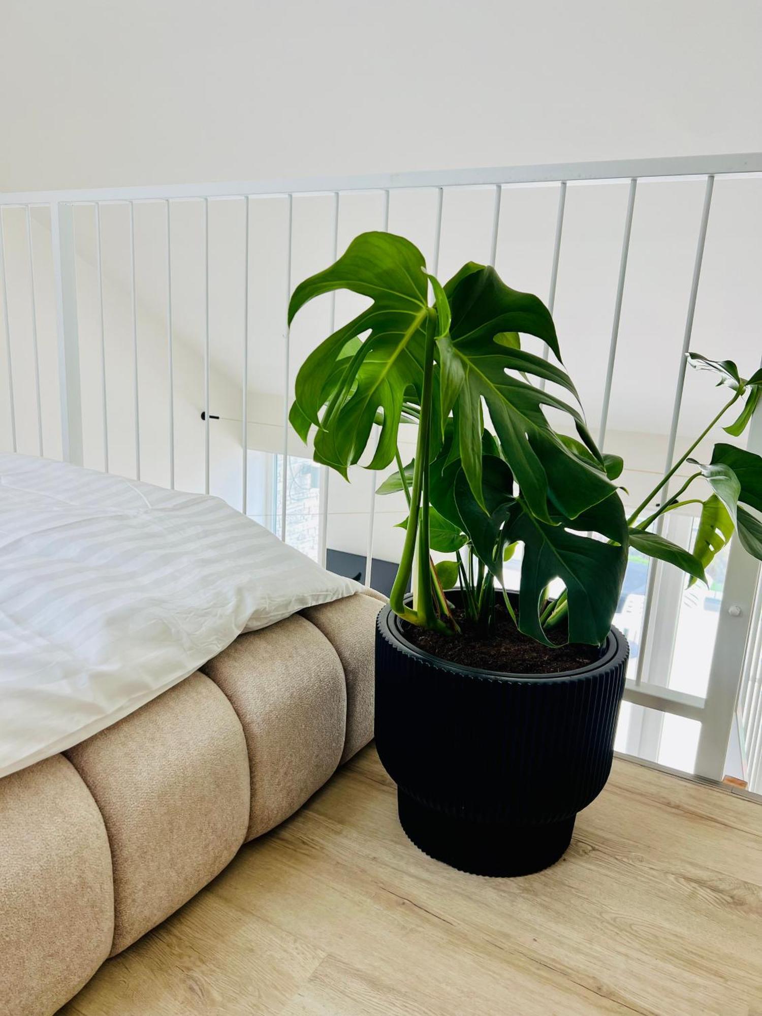 Pálavské Apartmány Pavlov Exterior foto